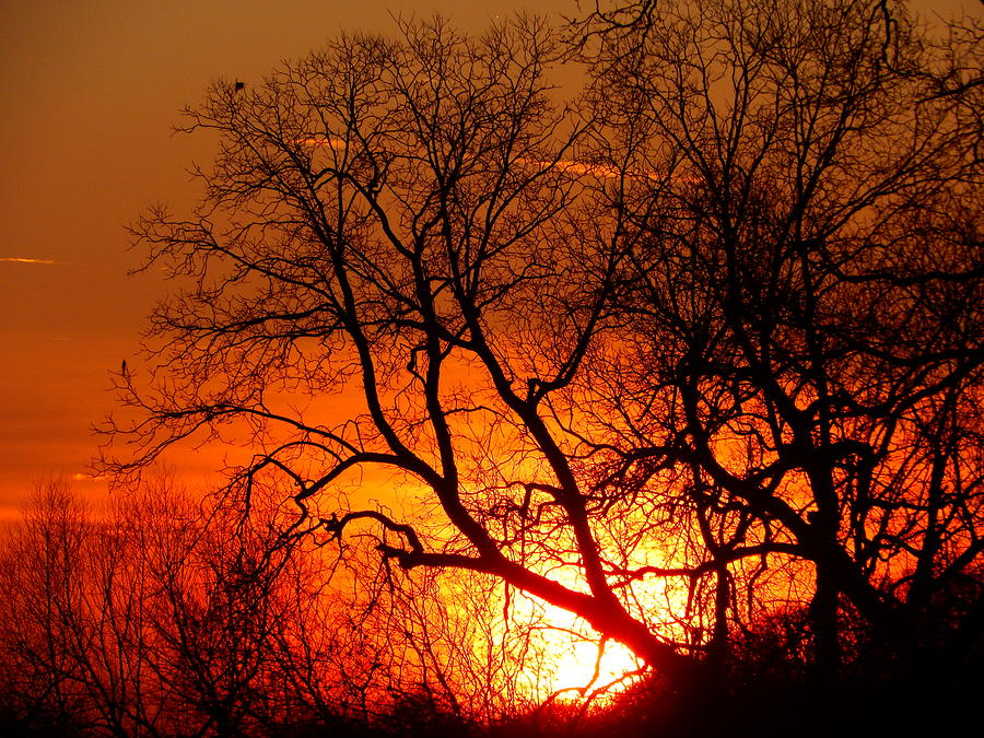 Oklahoma sunset #5 Photograph by Virginia White