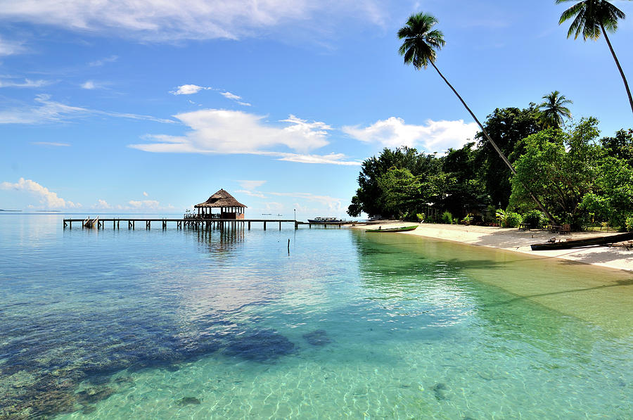 Ora Beach Moluccas Indonesia by Barry Kusuma