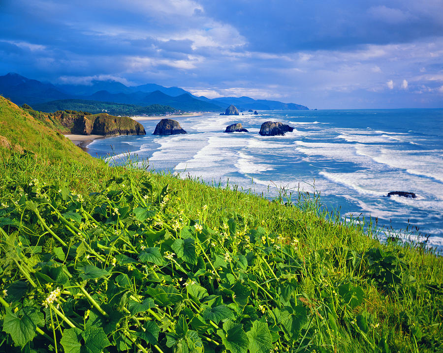 Oregon Coastline #5 Photograph by Ron thomas