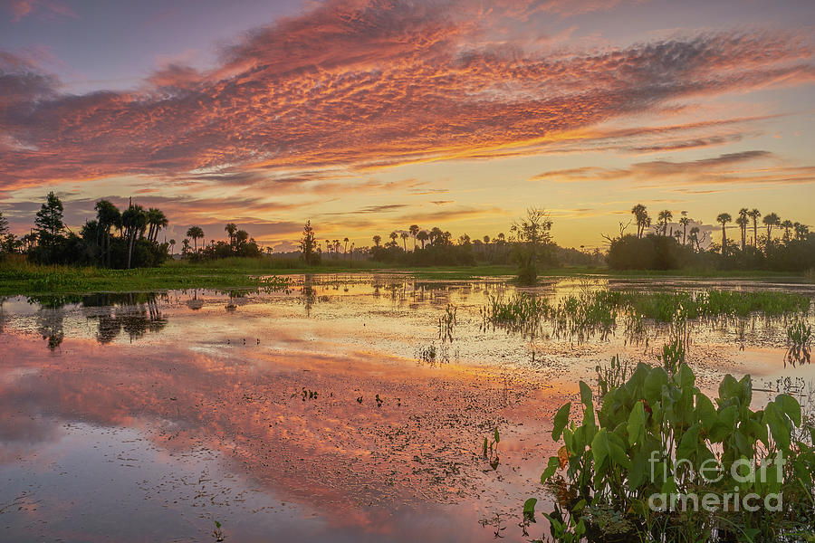 Orlando Sunrise #5 Photograph by Brian Kamprath