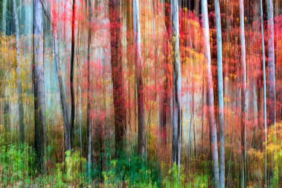 Abstract Photograph - Painterly Abstract Motion Blur #5 by Bill Gozansky