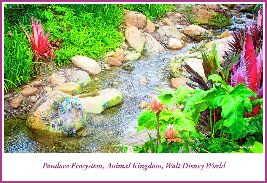 Pandora Ecosystem, Animal Kingdom, Walt Disney World #5 Photograph by A Macarthur Gurmankin