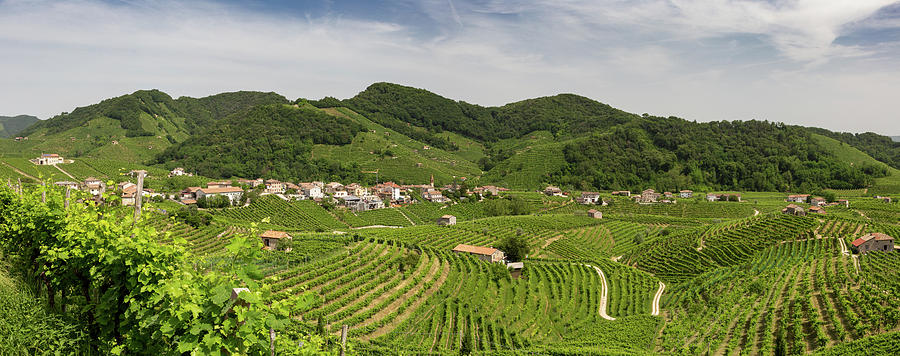 Panorama Of Vineyard County Around Valdobbiadene Photograph