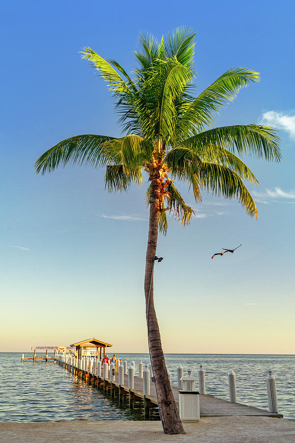 Pier, Islamorada, Florida #5 Digital Art by Laura Zeid