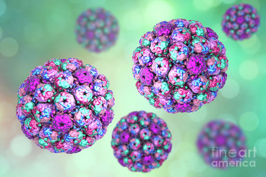 Polyoma Bk Virus #5 by Kateryna Kon/science Photo Library