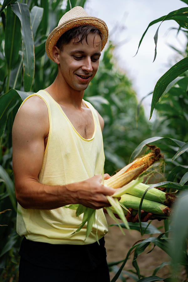 Portrait Of A Farm Man In A Hat In A Green Field Picking Up The Corn ...