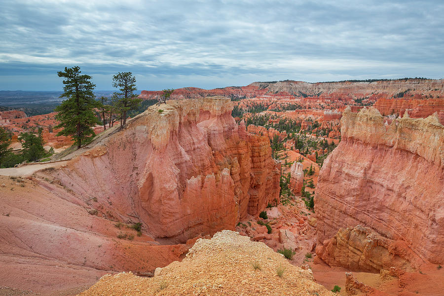 Rock Towers Hoodos In Bryce Canyon National Park, Usa #5 Photograph by Bastian Linder