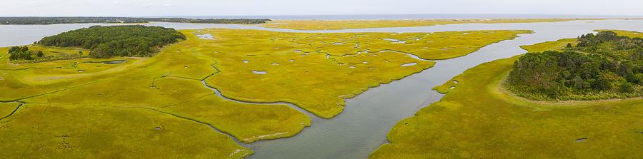 Nature Photograph - Salt Marshes And Estuaries Are Found #5 by Ethan Daniels