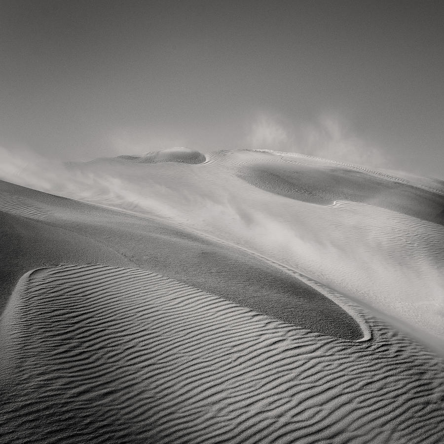 Sandwind / Vent De Sable Photograph by Jean-luc Billet - Fine Art America