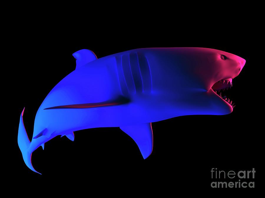 Shark #5 Photograph by Sebastian Kaulitzki/science Photo Library