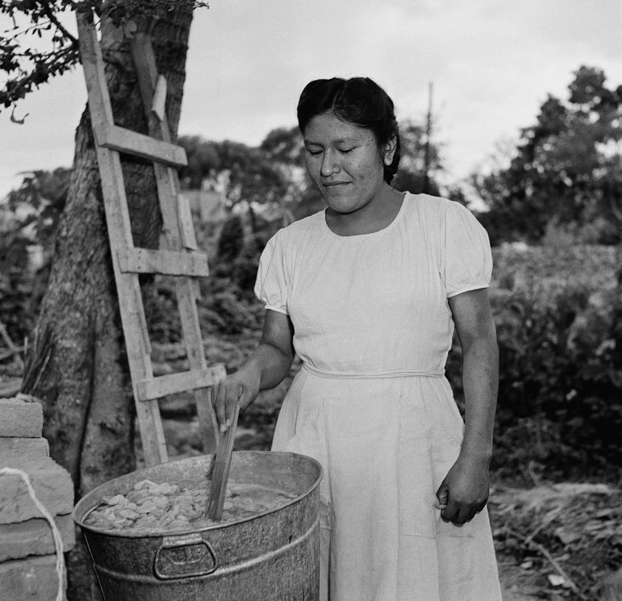 Silk Farming In Jalisco, Mexico #5 Photograph by Michael Ochs Archives