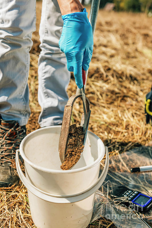 Soil Scientist Collecting Sample From Soil Probe Photograph by Microgen ...