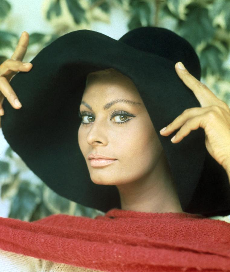 Sophia Loren . #5 Photograph by Album
