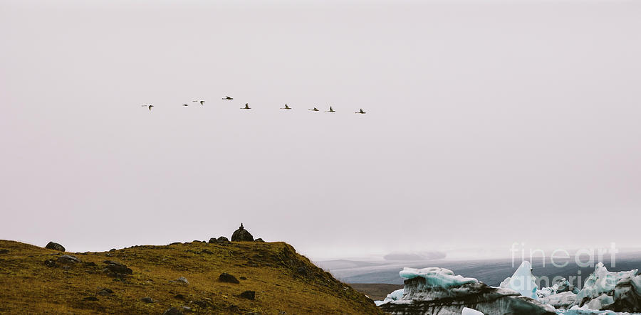 Spectacular landscapes of Iceland. #5 Photograph by Joaquin Corbalan