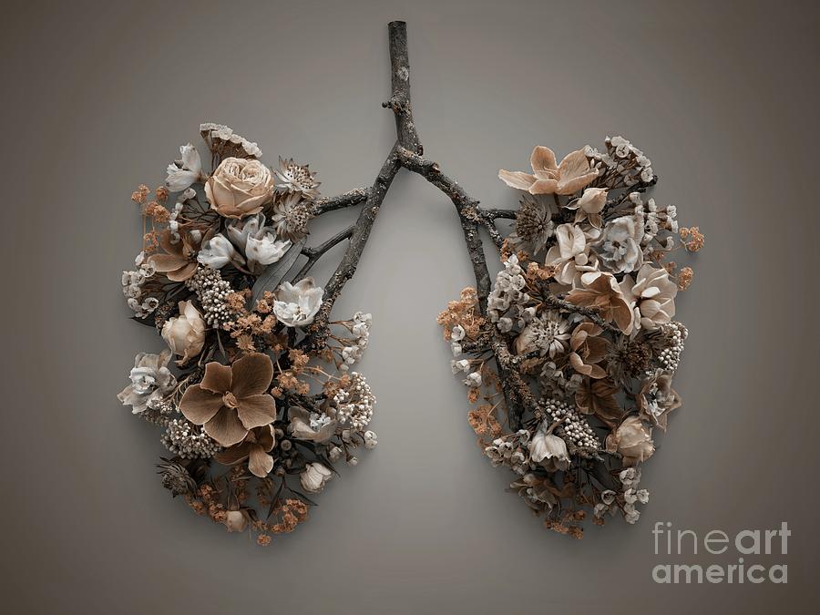 Spring Flowers Representing Human Lungs #5 Photograph by Science Photo Library