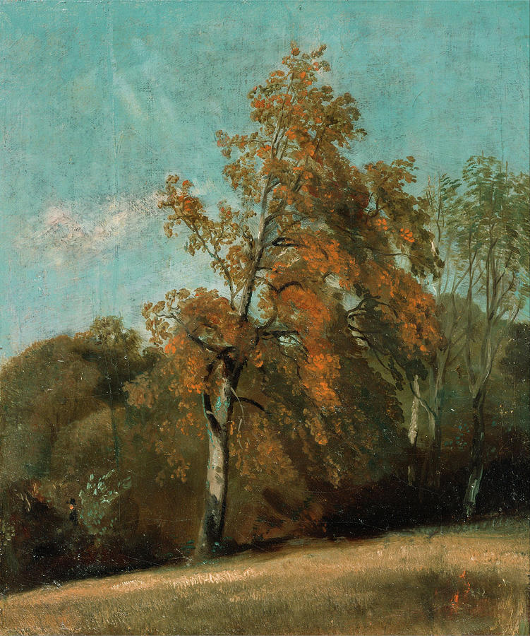 John Constable Painting - Study of an Ash Tree #5 by John Constable