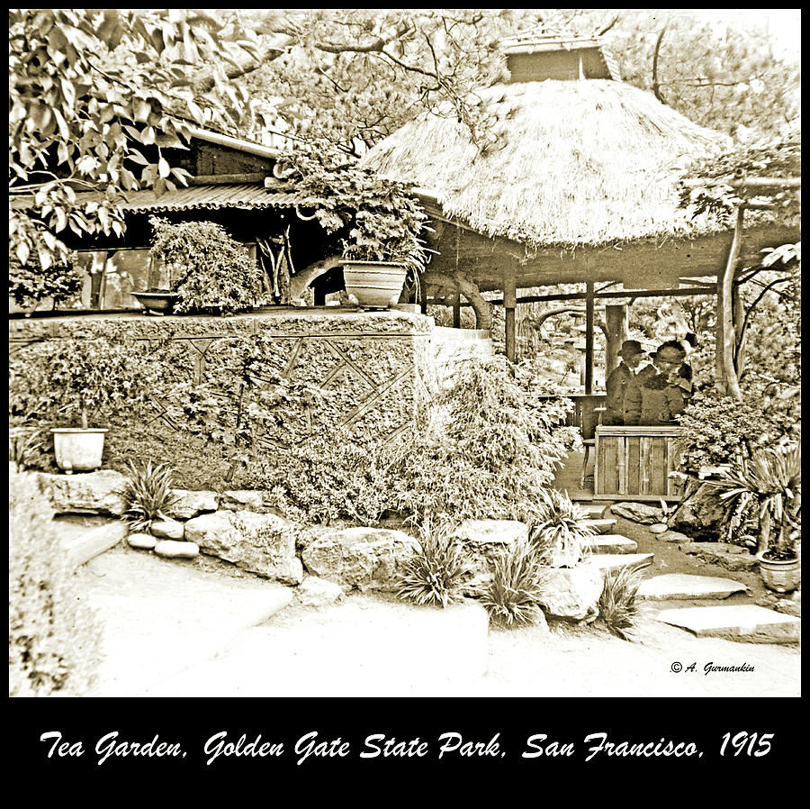 Tea Garden, Golden Gate State Park, 1915 #5 Photograph by A Macarthur Gurmankin