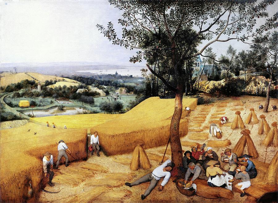 Landscape Painting - The Harvesters by Pieter Bruegel The Elder