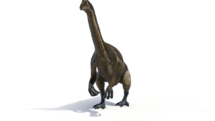 Therizinosaurus #5 Photograph by Sebastian Kaulitzki/science Photo Library