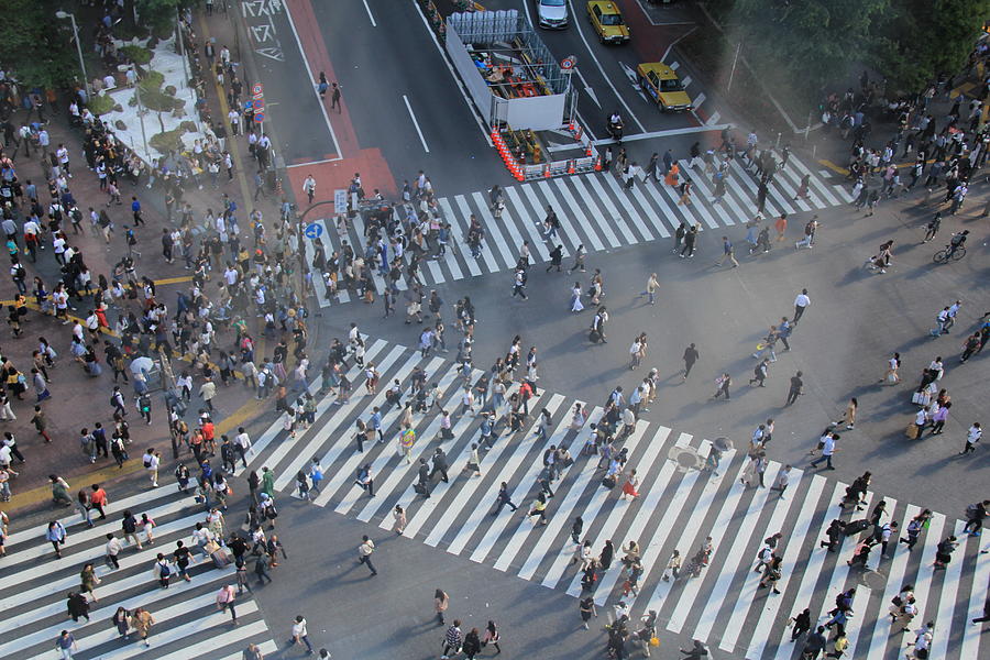 Tokyo, Japan - Shibuya Crossing #6 Photograph by Richard Krebs