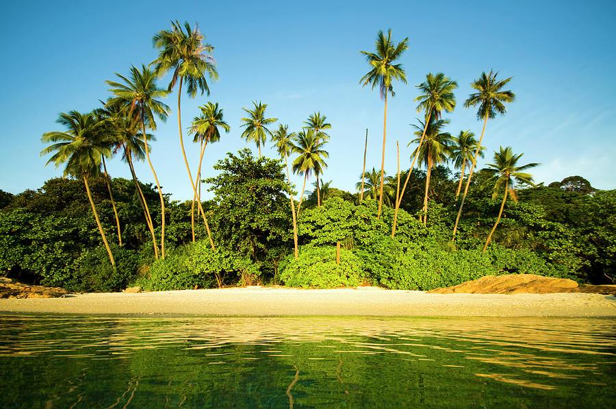 Tropical Paradise #5 Photograph by Rawpixel