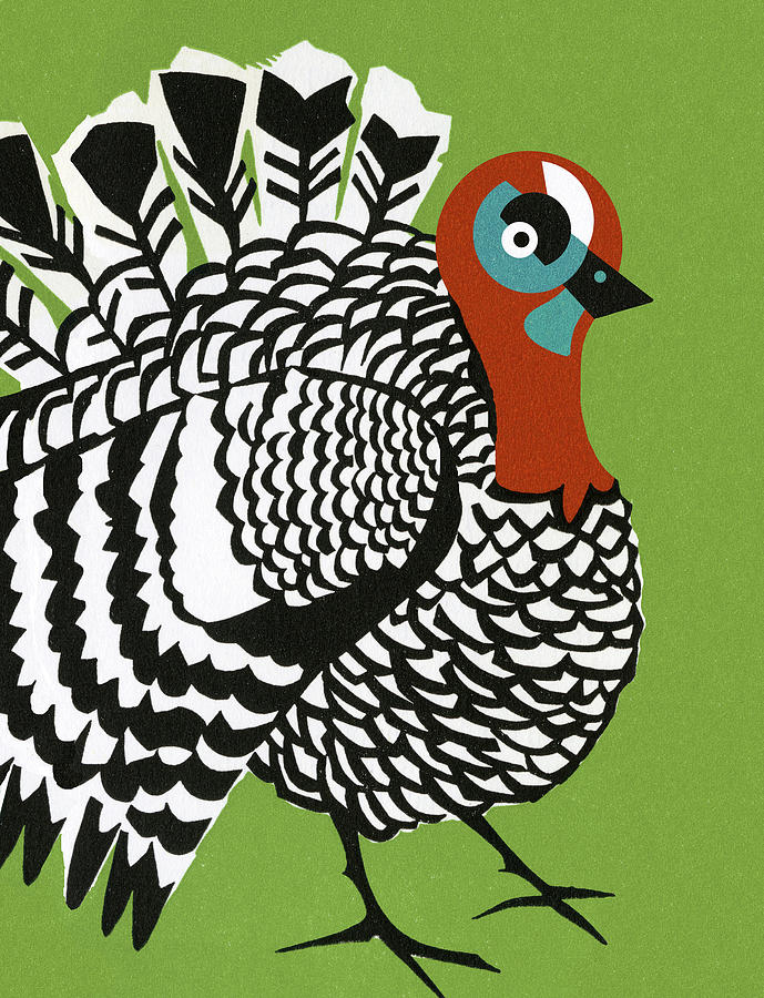 Turkey Drawing by CSA Images - Pixels