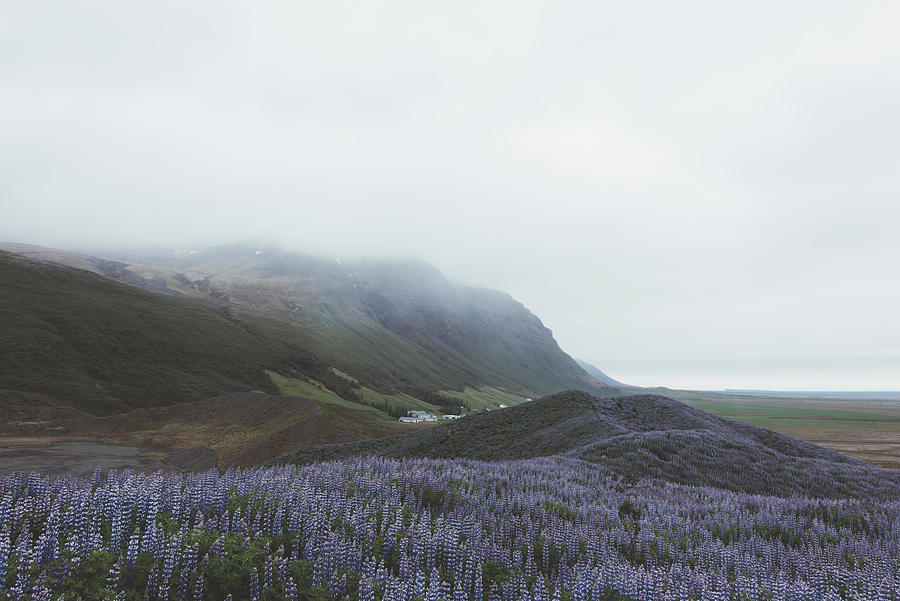 Nature Photograph - Typical Iceland Landscape #5 by Ivan Kmit