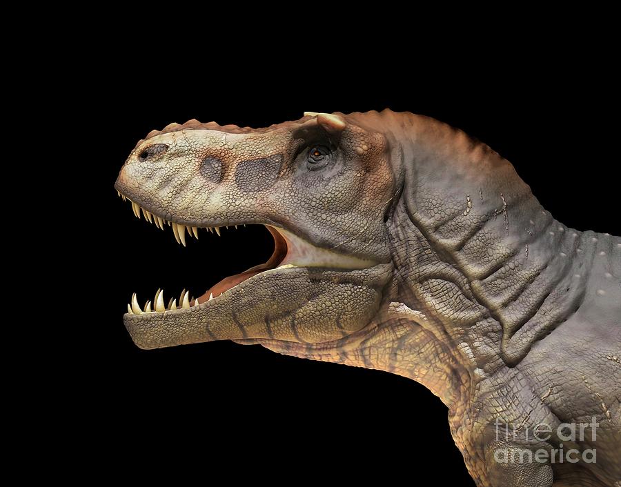 Tyrannosaurus Dinosaur #5 Photograph by Mikkel Juul Jensen / Science Photo Library
