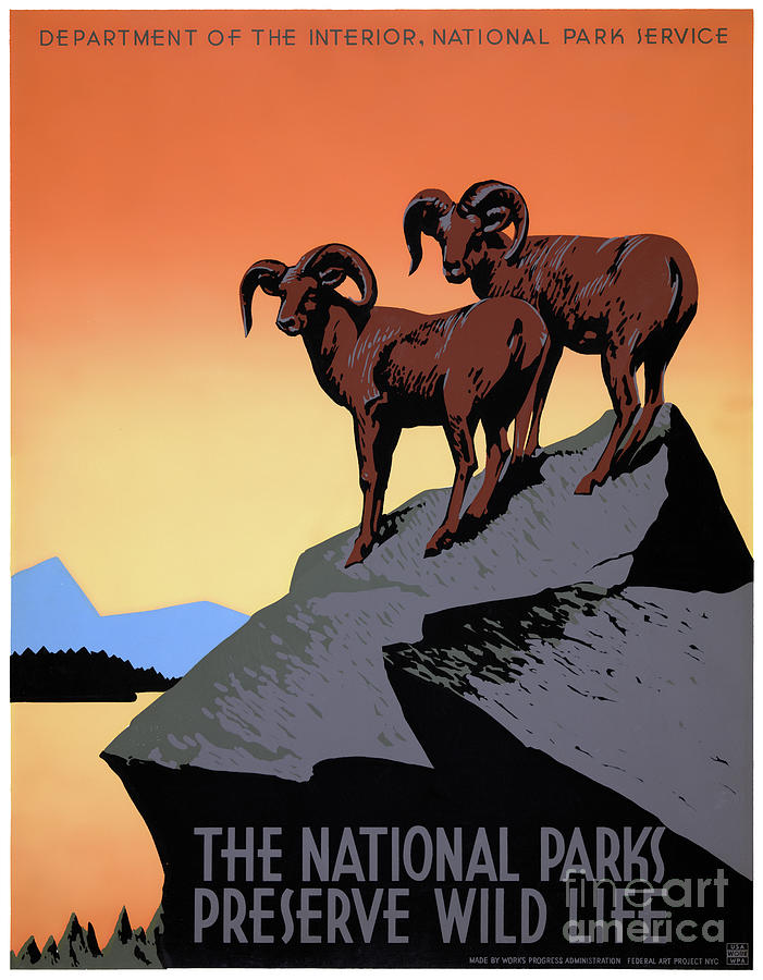 National Parks Usa Vintage Poster Drawing