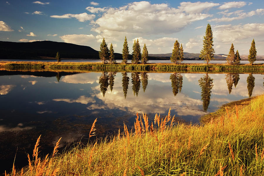 Usa, Wyoming, Yellowstone National #5 Photograph by Adam Jones