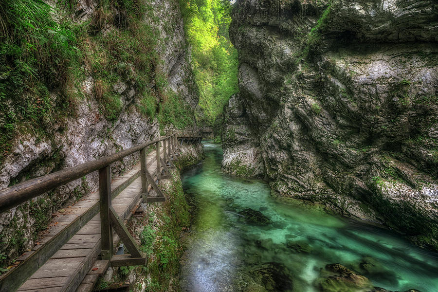 Vintgar - Slovenia #5 Photograph by Joana Kruse