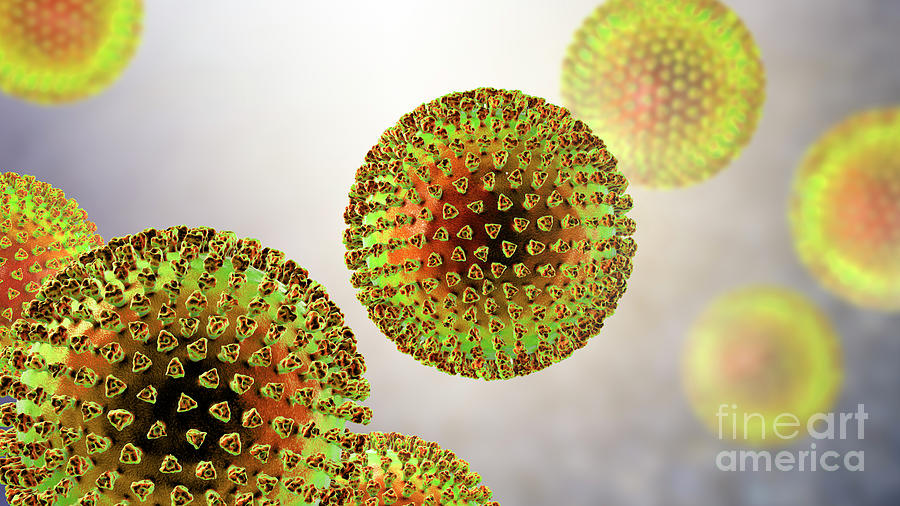 Virus Particles #5 Photograph by Kateryna Kon/science Photo Library