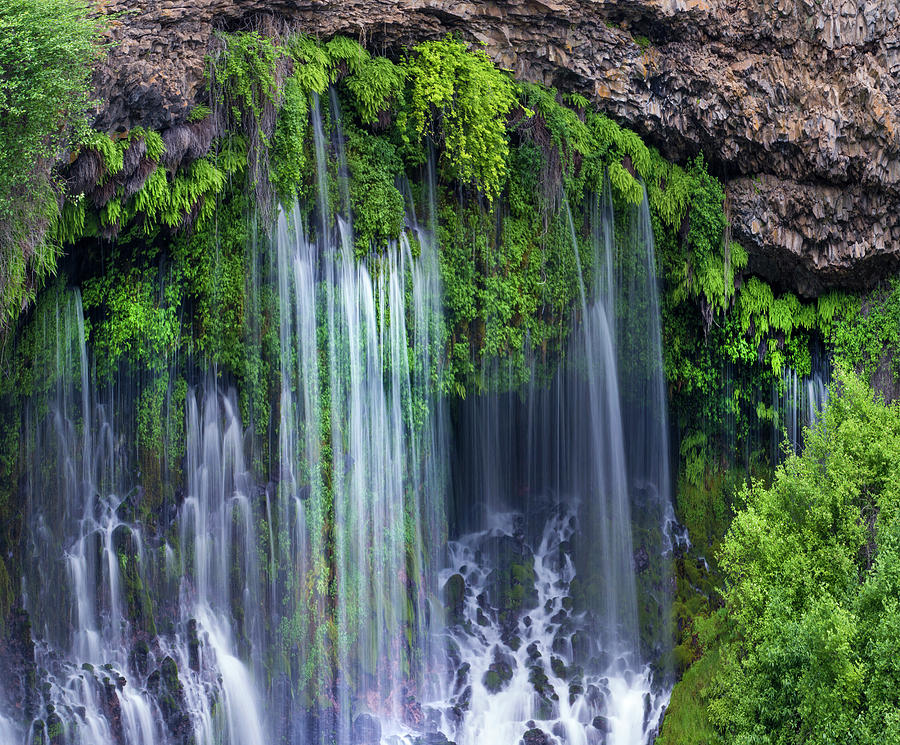 Waterfall, Mcarthur-burney Falls Memorial State Park, California #5 Photograph by Tim Fitzharris