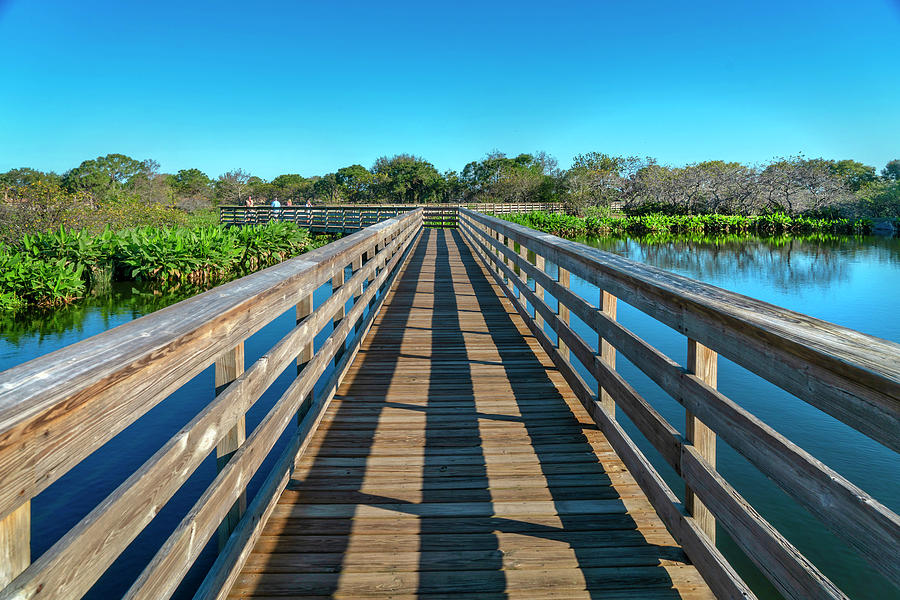 Wetlands, Delray Beach, Florida #5 Digital Art by Laura Zeid