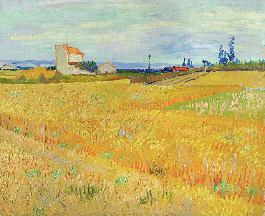 Vincent Van Gogh Painting - Wheatfield #5 by Vincent Van Gogh