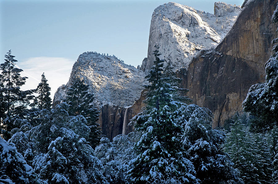 Yosemite National Park #5 Photograph by Mitch Diamond