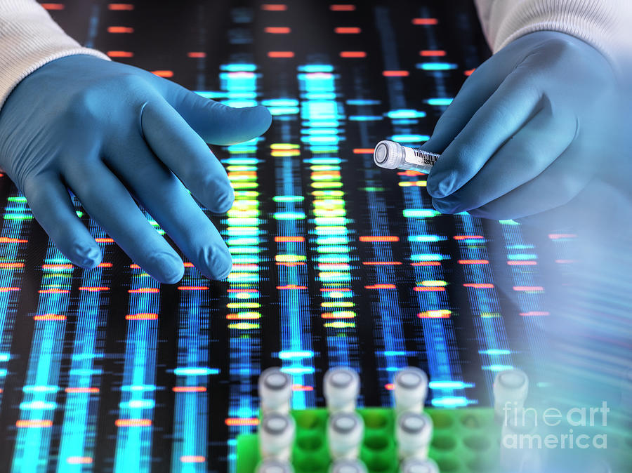 Dna Research #50 Photograph by Tek Image/science Photo Library