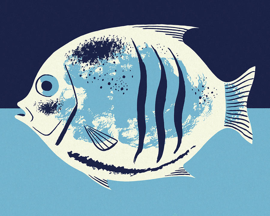 Fish Drawing - Fish #50 by CSA Images