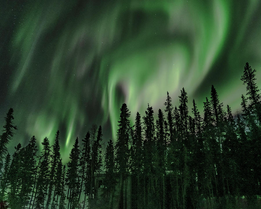 Northern Lights #50 Photograph by Laura Hedien