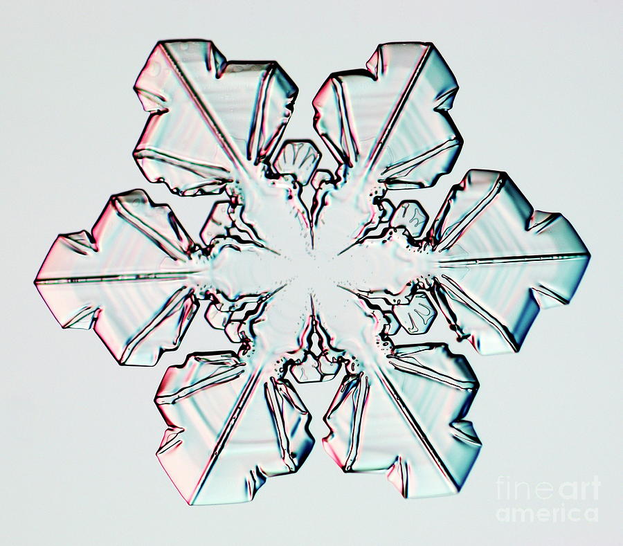 Snowflake #50 Photograph by Kenneth Libbrecht/science Photo Library