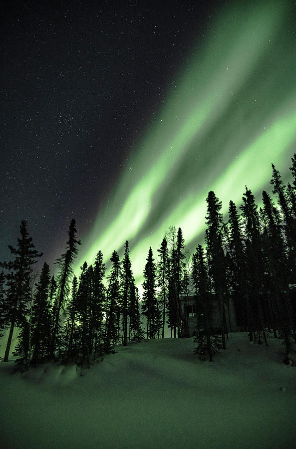 Northern Lights #51 Photograph by Laura Hedien