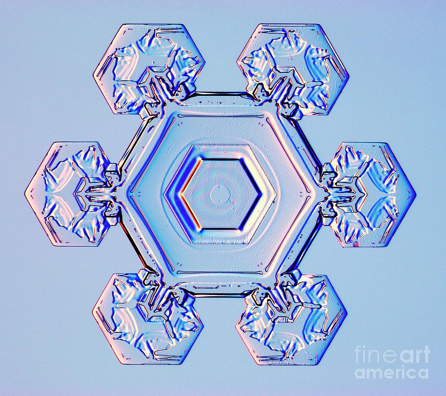 Snowflake #51 Photograph by Kenneth Libbrecht/science Photo Library