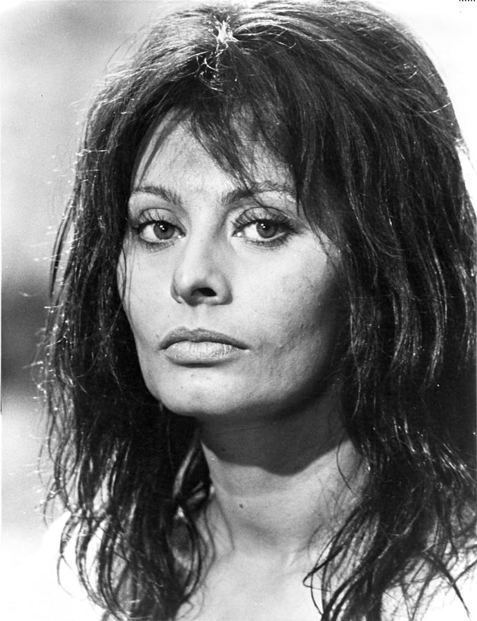 Sophia Loren Photograph by Movie Star News - Fine Art America