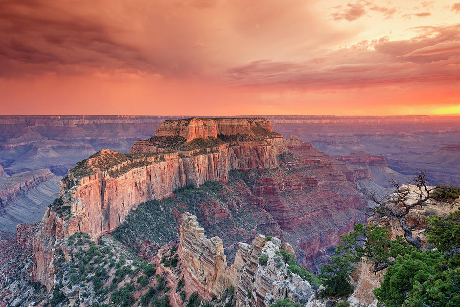 Grand Canyon National Park Photograph by Michele Falzone - Fine Art America