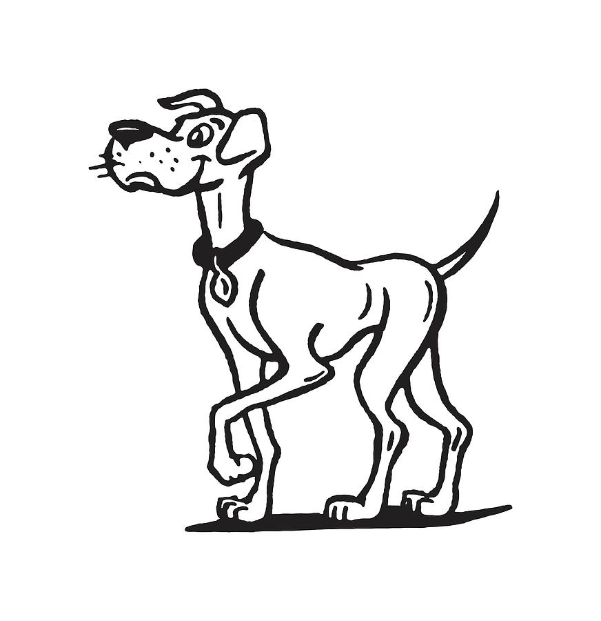 Dog Standing #1 Drawing by CSA Images - Fine Art America