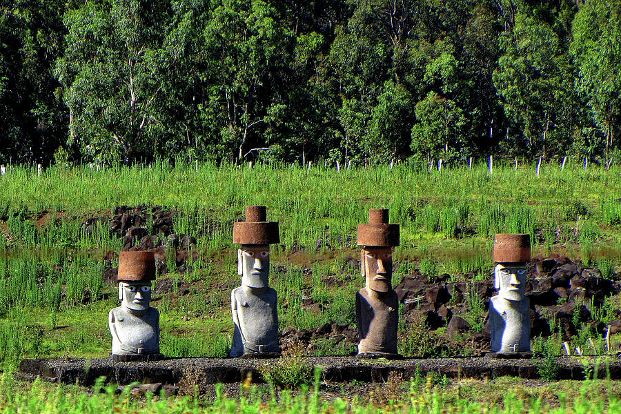 Easter Island Chile #54 Photograph by Paul James Bannerman