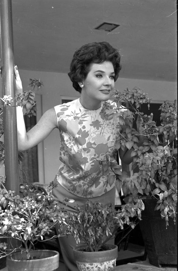 Polly Bergen Photograph By Bill Kobrin Fine Art America