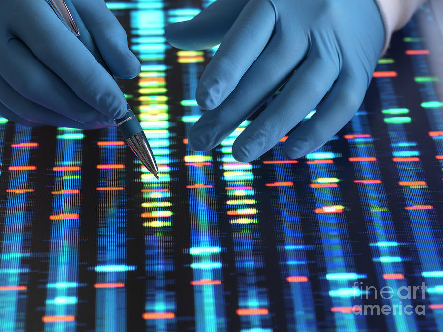 Dna Research #56 Photograph by Tek Image/science Photo Library