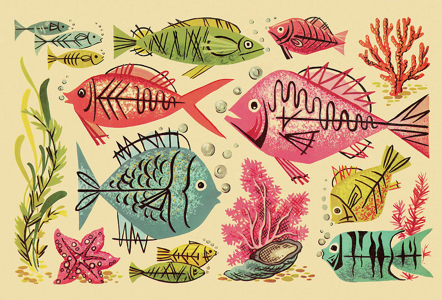 Fish Drawing - Fish #56 by CSA Images