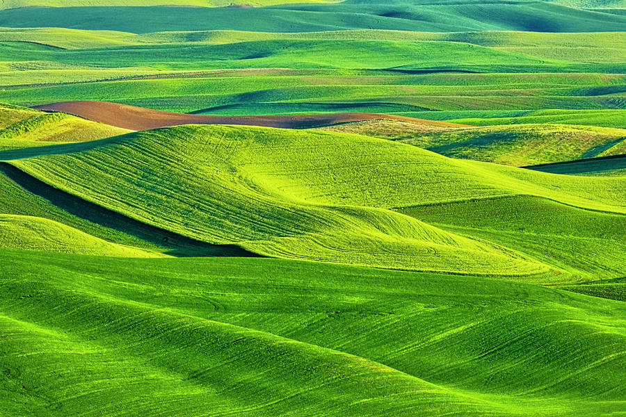 USA, Washington State, Palouse Region Photograph by Terry Eggers - Fine ...